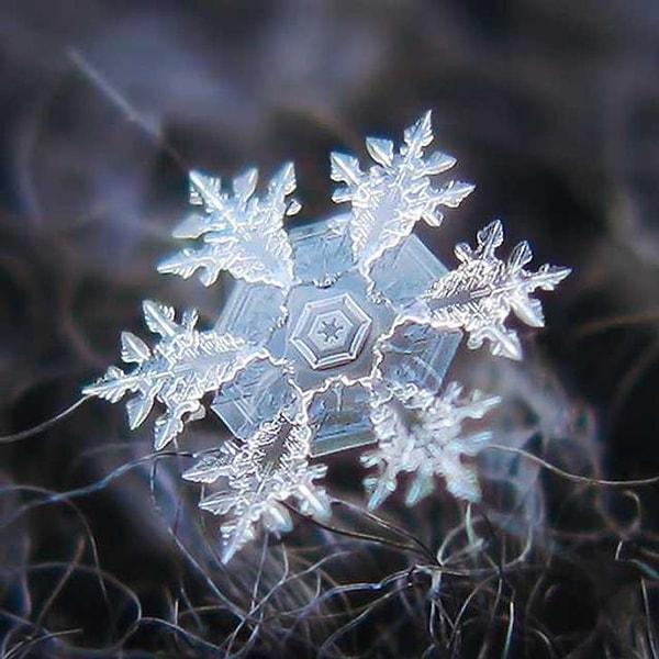 13. 'Kar tanesinin mikroskop altındaki görüntüsü.'