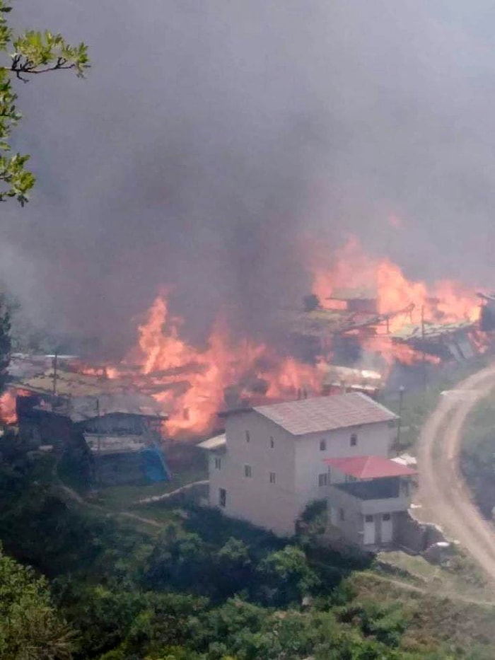 Artvin'de Orman Yangını: 70 Hanenin Bulunduğu Köy Alevlere Teslim Oldu