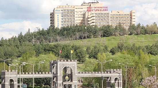 Dicle Üniversitesi 2020 Taban Puanları ve Başarı Sıralamaları