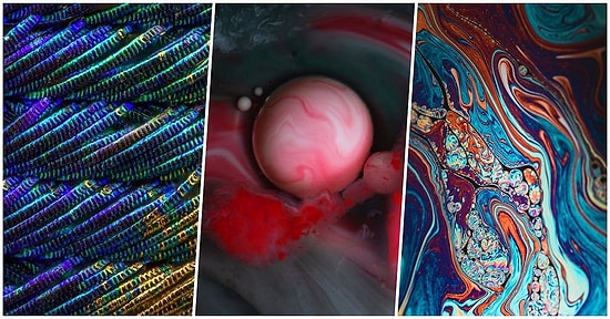 Yakaladıkları Yakın Çekim Karelerle Fotoğrafçılığın Kitabını Yeniden Yazmış Olan Sanat Severler