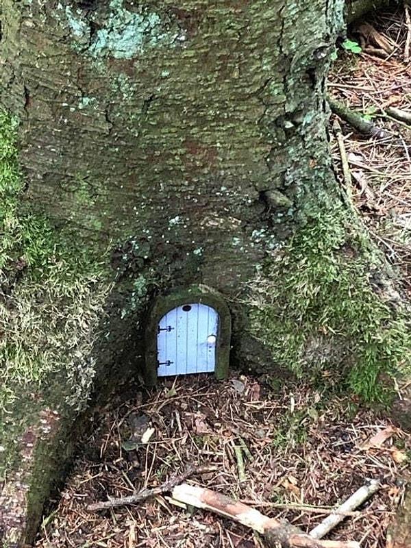 6. Ağaç altında, minicik canlıların özgürce gezdiği bir dünyaya açılıyor gibi duran küçük kapı: