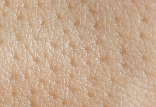 12. Каждый час мы выбрасываем 30 000-40 000 мертвых клеток кожи. Это примерно около миллиона клеток в течение 24 часов.