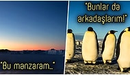 Kutuplarda Yaşamanın Her Saniyesinin Ne Kadar Olağanüstü Olduğunu Bir de Orada Çalışan Bilim İnsanından Dinleyelim!