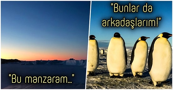 Kutuplarda Yaşamanın Her Saniyesinin Ne Kadar Olağanüstü Olduğunu Bir de Orada Çalışan Bilim İnsanından Dinleyelim!