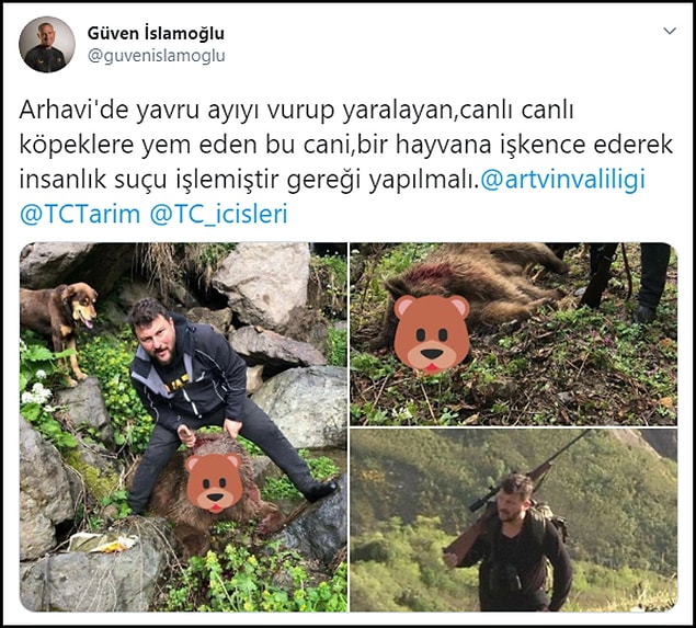 Yavru ayının öldürülmesi sosyal medyanın gündeminde 👇