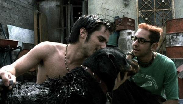 76. Amores perros - Paramparça Aşklar Köpekler (2000)