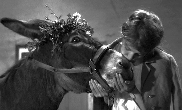 84. Au hasard Balthazar - Rastgele Balthazar (1966)