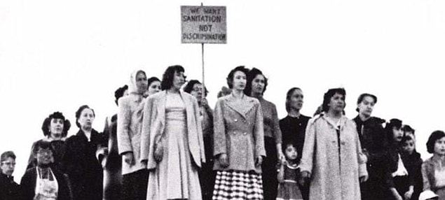 88. Salt of the Earth - Toprağın Tuzu (1954)