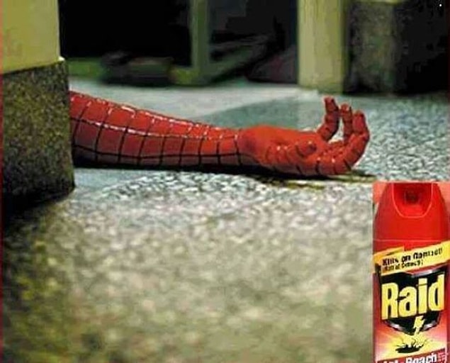 5. Raid