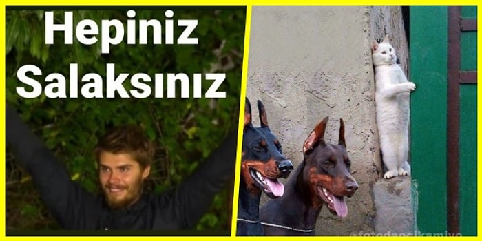 Akrabalarıyla Olan İlişkilerini Tek Bir Görselle Anlatarak Eğlendiren Takipçilerimiz