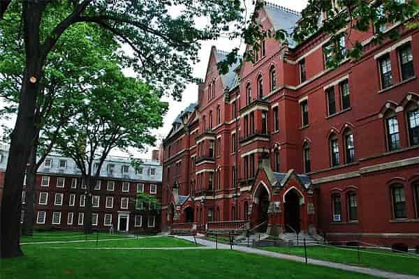 Harvard online eğitime geçen ilk üniversite oldu