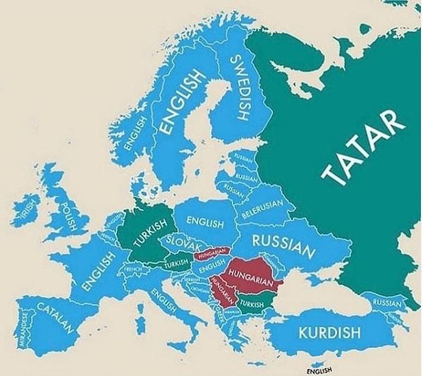 6. Avrupa ülkelerinde, resmi dilden sonra en çok kullanılan diller