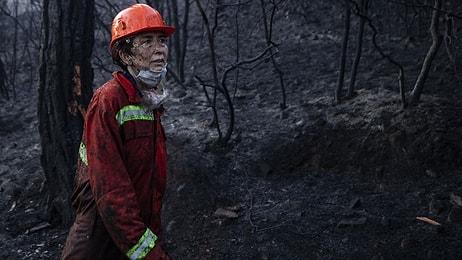 Heybeliada'daki Orman Yangını Kontrol Altına Alındı: 3 Kişi Gözaltında