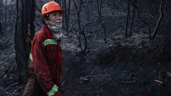 Heybeliada'daki Orman Yangını Kontrol Altına Alındı: 3 Kişi Gözaltında