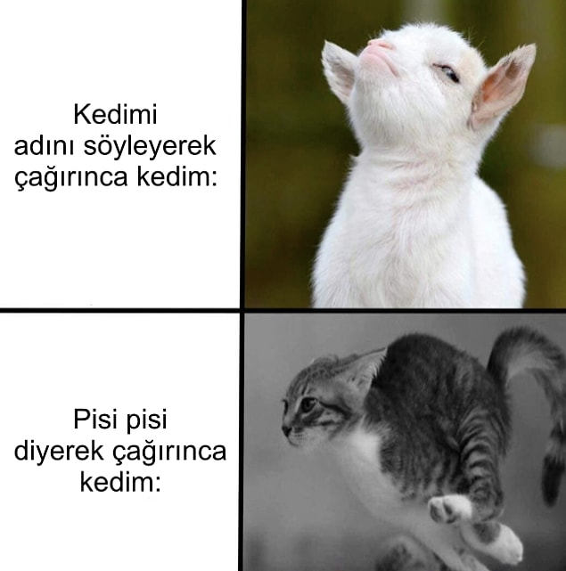 8.