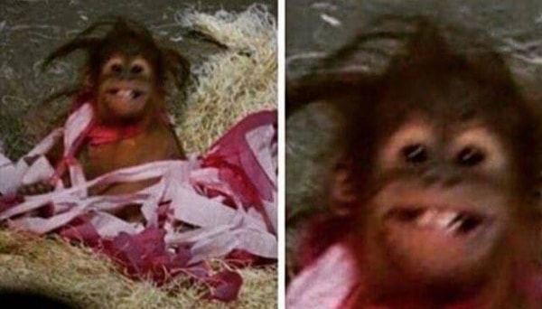 14. Когда вы проводите ночь у него дома, а утром он говорит: «Доброе утро, красавица».