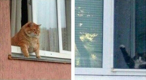 17. Когда 2 водителя автобуса видят друг друга: