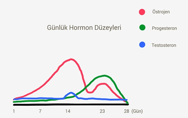 Aşağıdaki tabloda bir kadının menstrual döngüsünde hangi hormonları salgıladığı yer almakta: