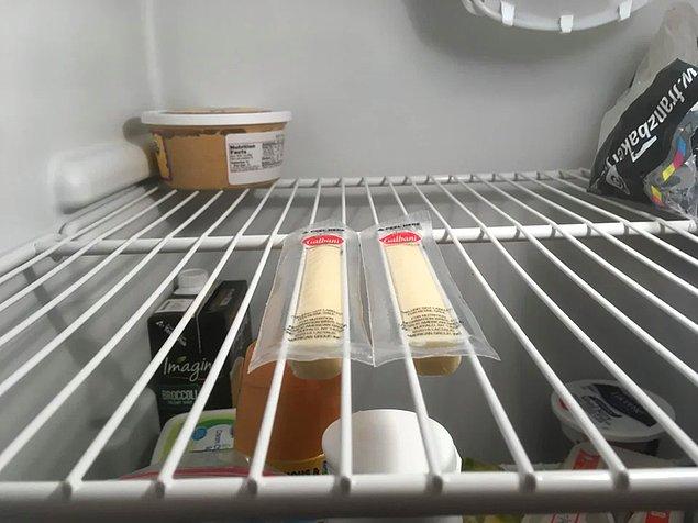 12. ''Peynirlerimi kaybettiğimi sanmıştım, gizlice buzdolabıyla harika uyum sağlamışlar.''