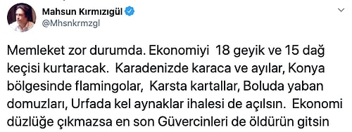 Bakanlık, Canlarına 513 Bin TL Değer Biçti: Eskişehir’de 18 Geyik İhale ile Öldürülecek...