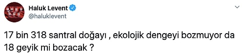 Bakanlık, Canlarına 513 Bin TL Değer Biçti: Eskişehir’de 18 Geyik İhale ile Öldürülecek...