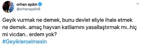 Bakanlık, Canlarına 513 Bin TL Değer Biçti: Eskişehir’de 18 Geyik İhale ile Öldürülecek...