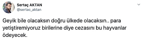 Bakanlık, Canlarına 513 Bin TL Değer Biçti: Eskişehir’de 18 Geyik İhale ile Öldürülecek...