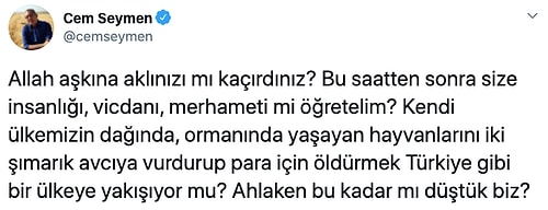 Bakanlık, Canlarına 513 Bin TL Değer Biçti: Eskişehir’de 18 Geyik İhale ile Öldürülecek...