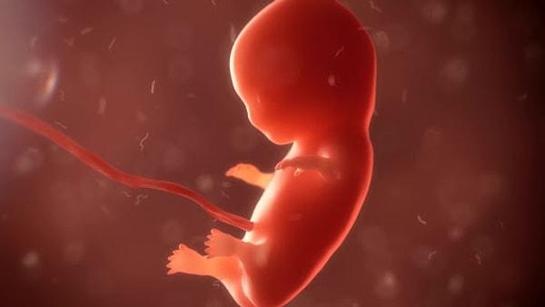 7. Stanford Üniversitesi insan embriyosu klonlayacağını açıkladı.