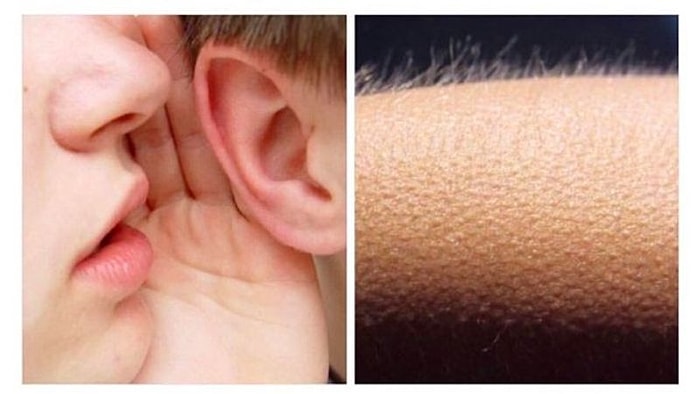 Sence Kulağına Ne Söylemiştir? Bizimle Paylaş, onedio'da Yayınlayalım!