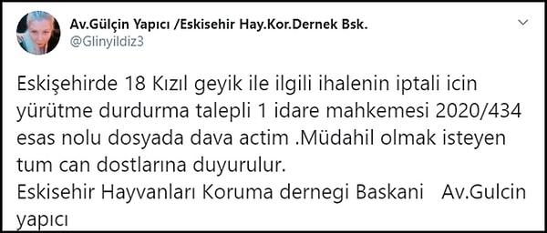 Derneğin Eskişehir başkanı Avukat Gülçin Yapıcı da ihalenin iptali için dava açtığını belirtti: "Müdahil olmak isteyen tum can dostlarına duyurulur"