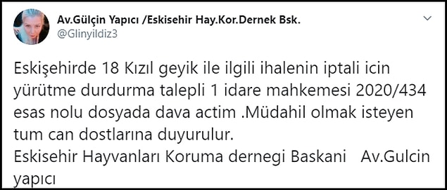 Derneğin Eskişehir başkanı Avukat Gülçin Yapıcı da ihalenin iptali için dava açtığını belirtti: "Müdahil olmak isteyen tum can dostlarına duyurulur"
