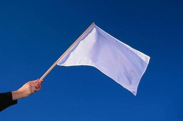 15. Yaklaşık 15 yıl boyunca Fransa'nın bayrağı yalnızca beyazdı.