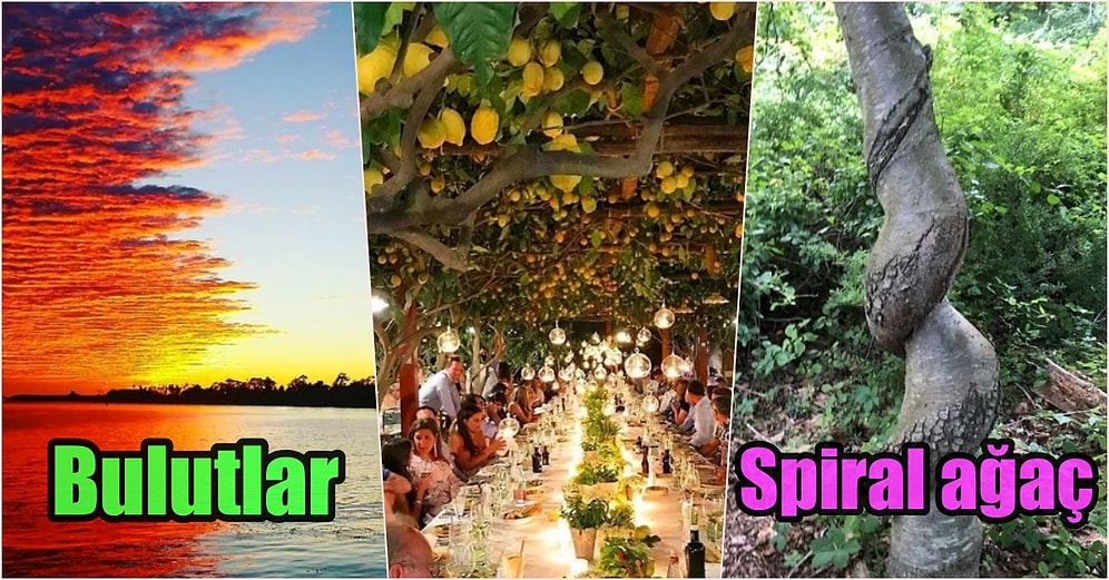 Zihnimizi Bulandırmaya Neden Olurken Aynı Zamanda Şaşkınlık Yaşattıracak Enteresan 19 Fotoğraf