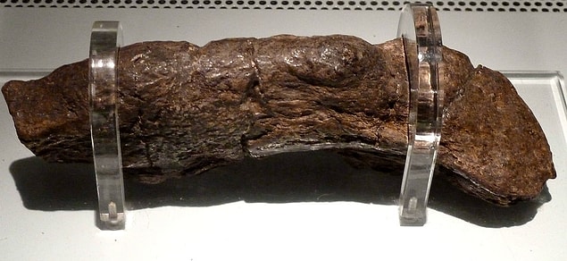 5. Vikinglere ait en büyük insan dışkısı