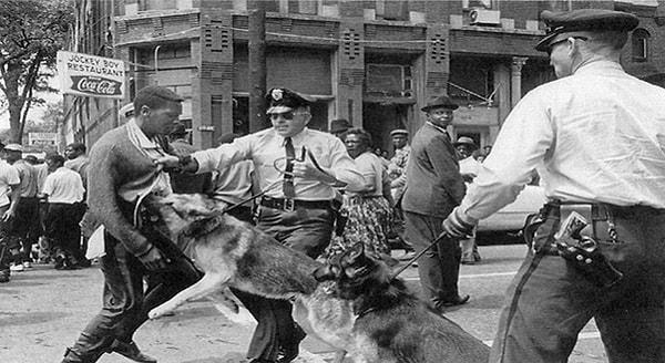 14. İnsan hakları hareketi sırasında polisler, köpekler ve insanlar, 1964