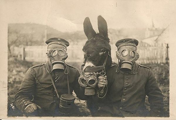 17. İki Alman askeri ve yanlarındaki eşek gaz maskesiyle