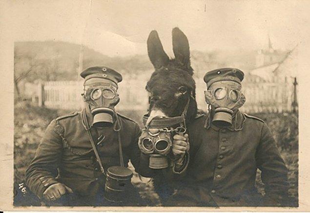 17. İki Alman askeri ve yanlarındaki eşek gaz maskesiyle