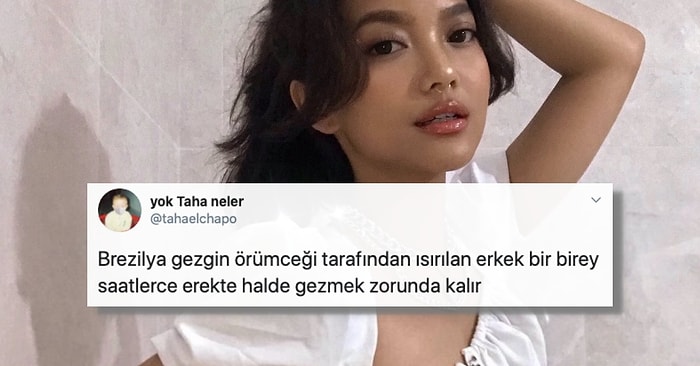 Fotoğrafını Paylaşarak 'Bilmediğim Bir Şey Söyle' Diyen Kadına Ortamlarda Caka Satılabilecek Bilgiler Veren İnsanımız