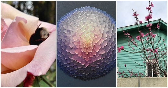 Baktığınız Anda Size Huzur Verirken Aynı Zamanda Gününüzü Aydınlatacak Birbirinden Güzel 20 Kare