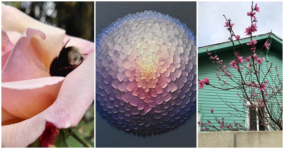 Baktığınız Anda Size Huzur Verirken Aynı Zamanda Gününüzü Aydınlatacak Birbirinden Güzel 20 Kare