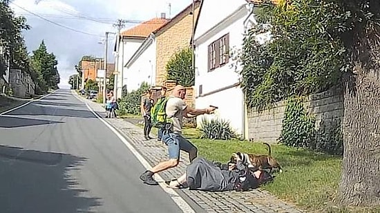 Annesinin Kucağındaki Köpeğe Saldıran Köpeği Korkutmak İçin Duvara Ateş Eden Adam