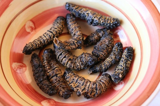 11. Mopane