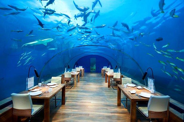 8. Ithaa Denizaltı Restoranı, Maldivler