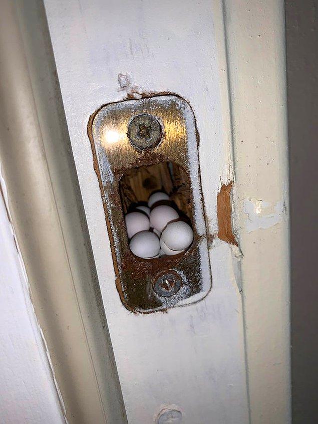 14. "Evdeki kapı kolunun içinde yumurta buldum!"