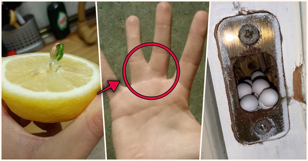 Hep Aynı Şeyleri Görmekten Sıkılanları İlginçliğe Doyuracak Birbirinden Acayip 17 Yeni Görsel