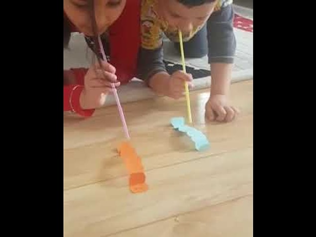 Tırtıl yarışı