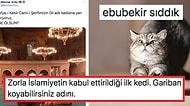 16 Yıldır Ayasofya'da Yaşayan Şaşı Kedi Gli İçin Yeni İsim Arayışına Giren Mehmet Ardıç'a Gelen 13 Öneri