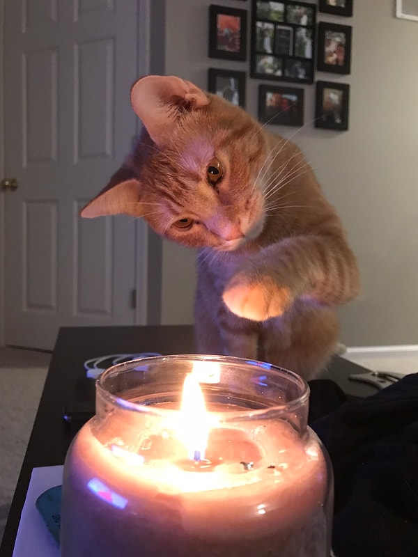 Пара создала учетную запись в Reddit и написалп следующее: