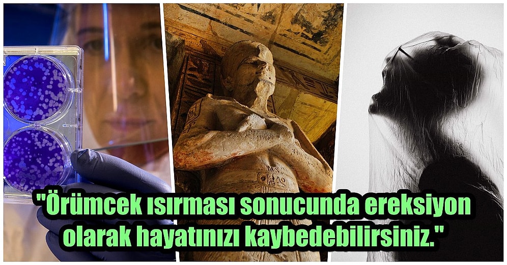 Öğrendikten Sonra Hayatınıza Eskisi Gibi Devam Edemeyeceğiniz Birbirinden Tuhaf 16 Bilgi